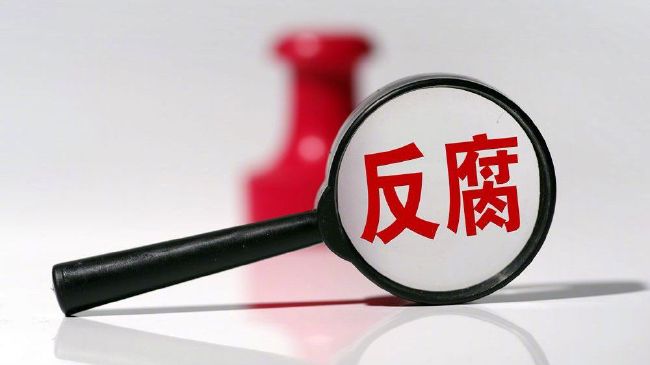 偷看她的小蜻蜓