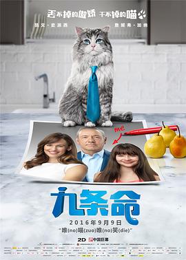 久久精品国产精品青草
