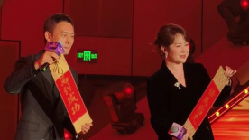 活泼的旅社黑凤梨