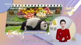 国产剧情av片巨作醉酒女邻居
